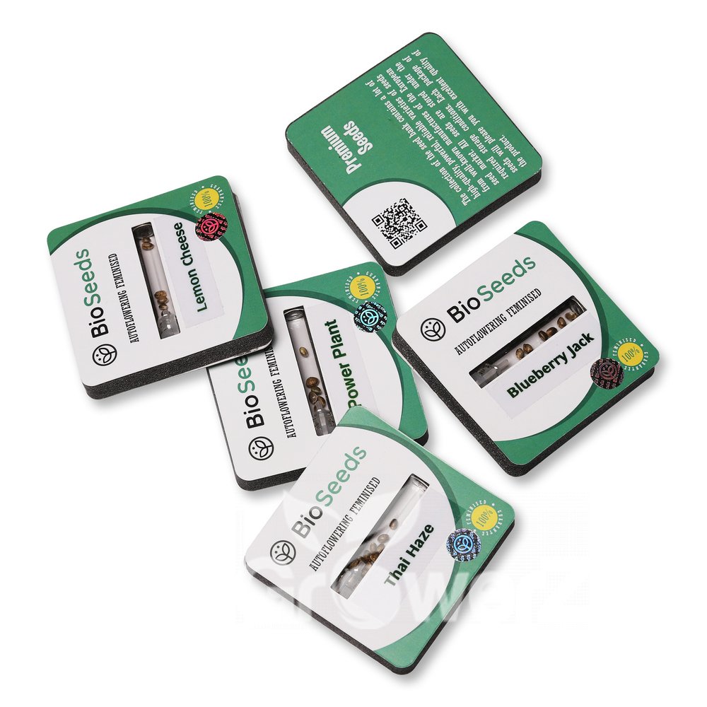 Tangie'matic Auto Fem.